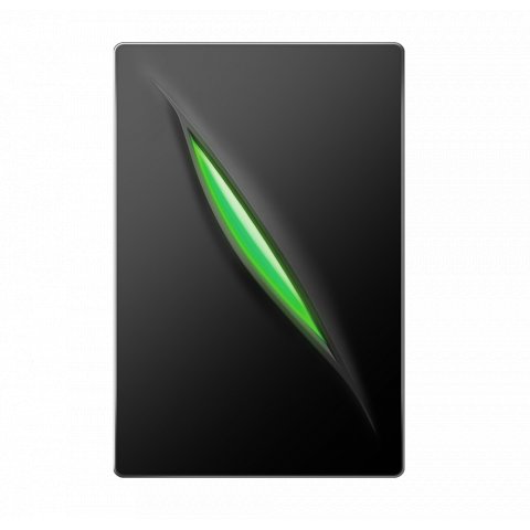 ZKTeco - Dual Frequency RFID and Mifare Slave Wiegand Card Reader